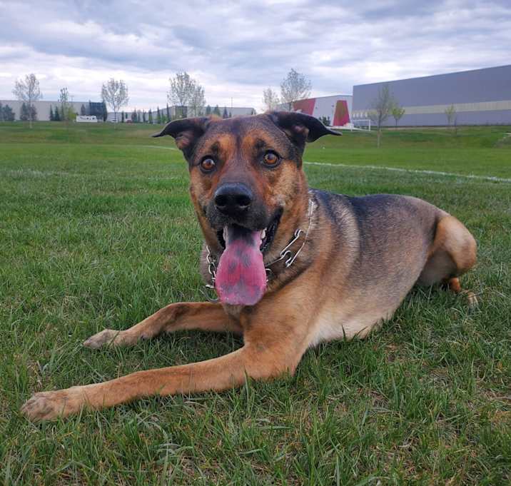 Photo of Hobbes