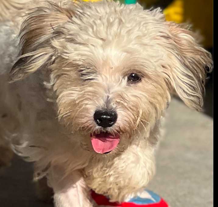 Photo of PRADA
