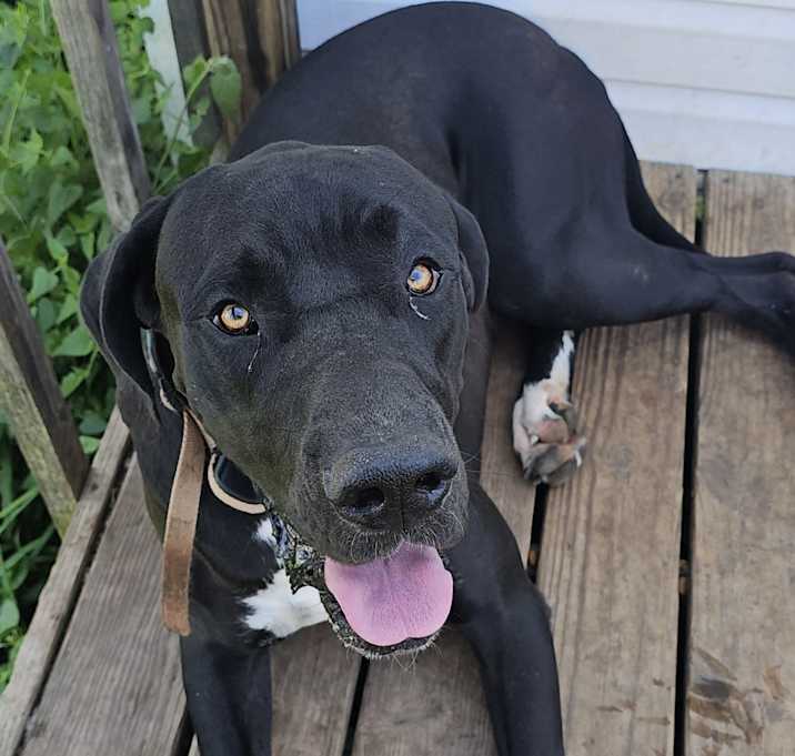 Photo of Zeus