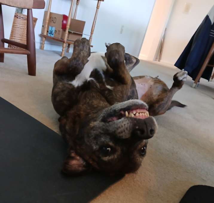 Photo of Lola
