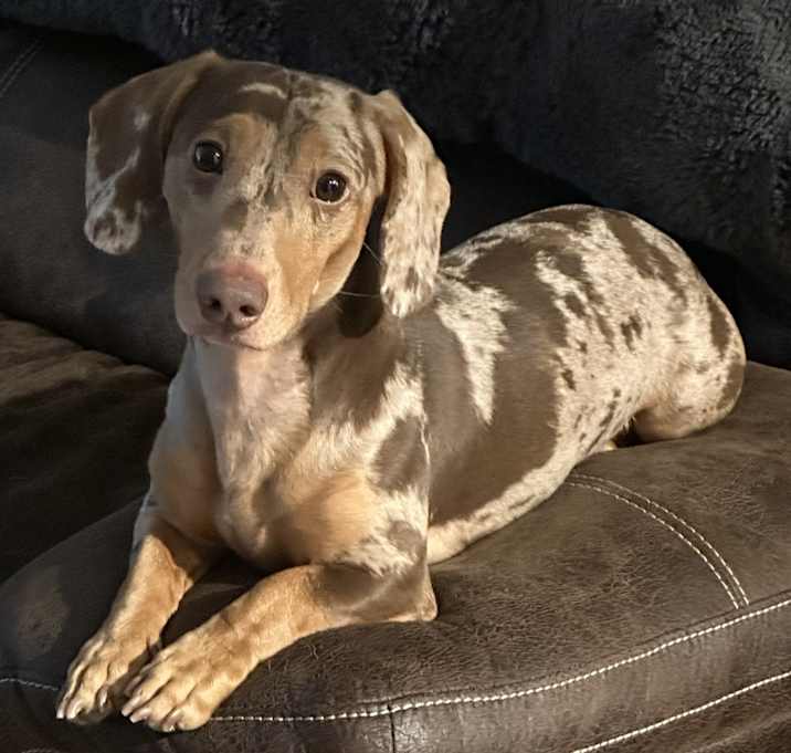 Photo of Miko
