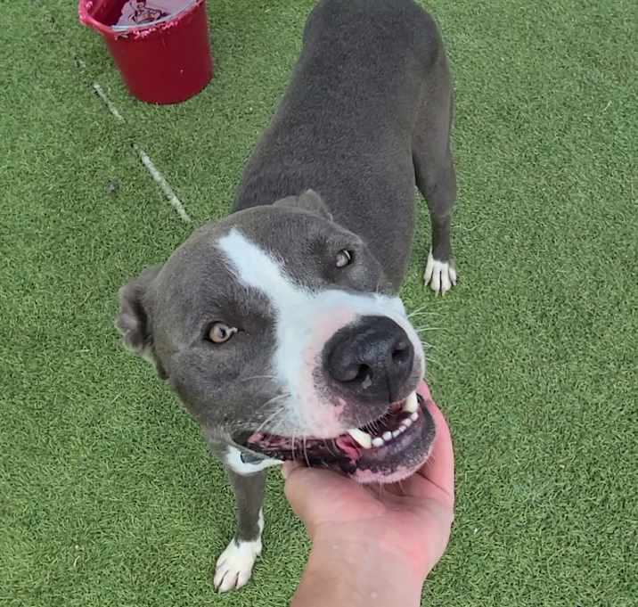 Photo of Happy