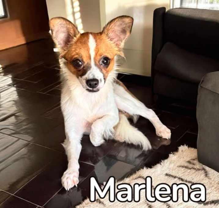 Photo of Marlena
