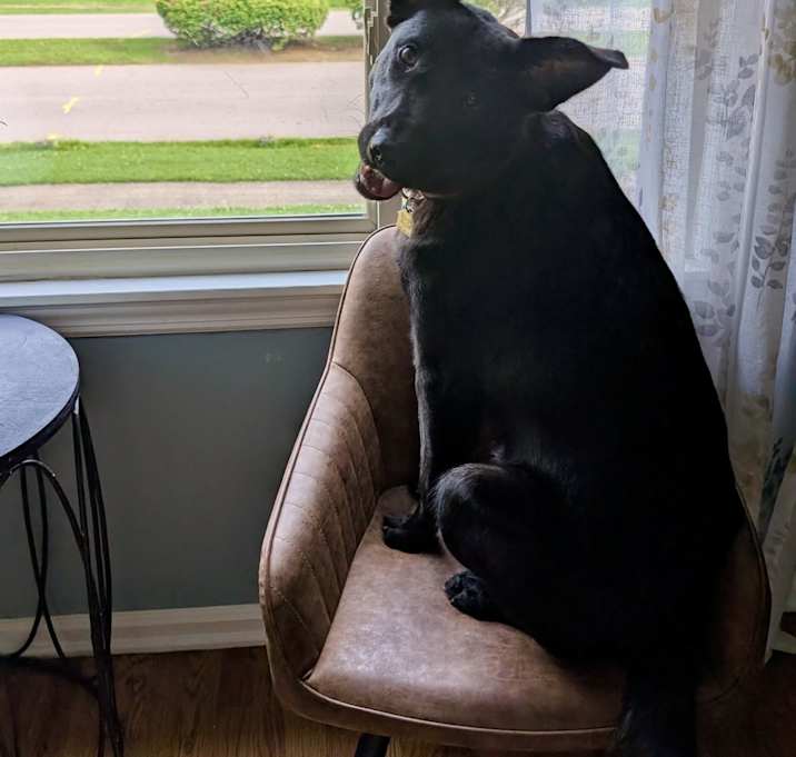 Photo of Max