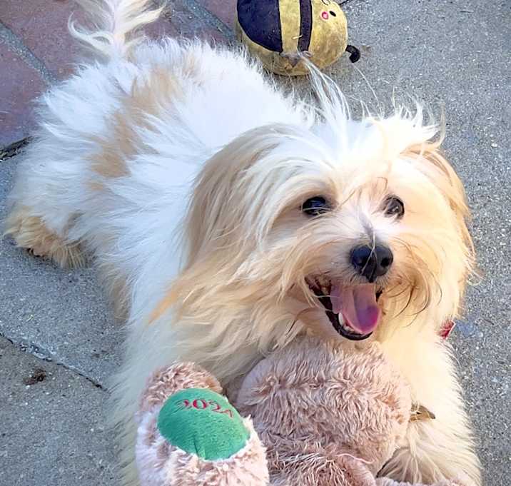 Photo of Calvin