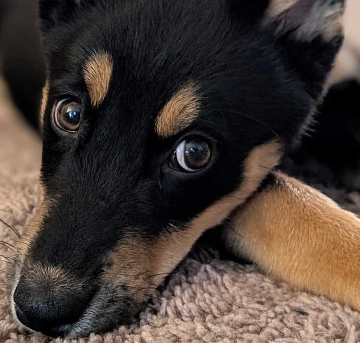 Photo of OLIVIA