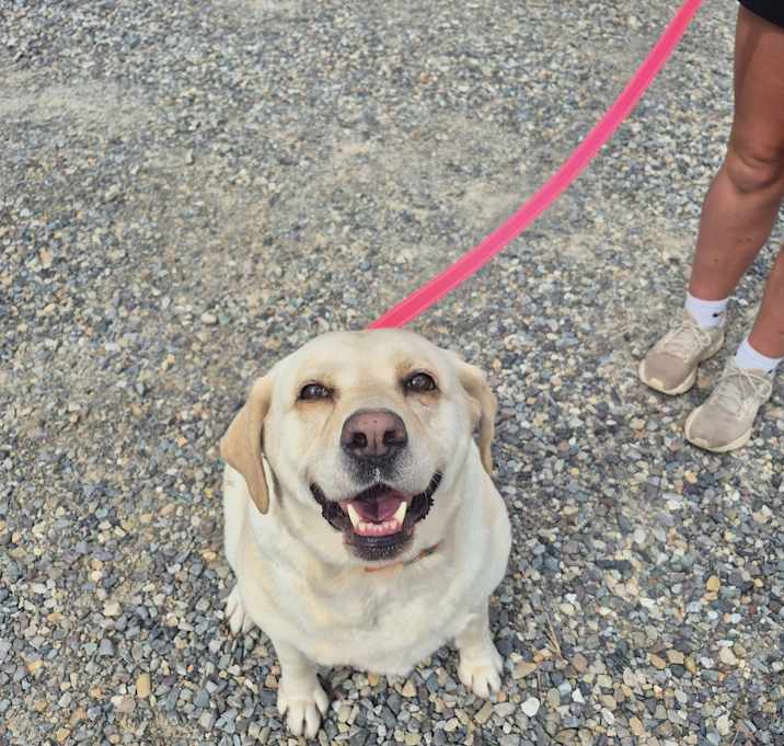Photo of Tilly