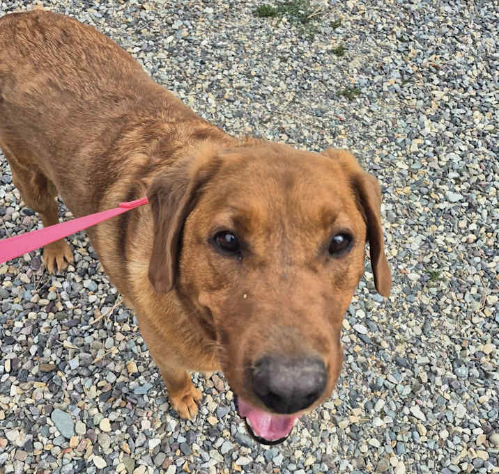 Photo of Tucker