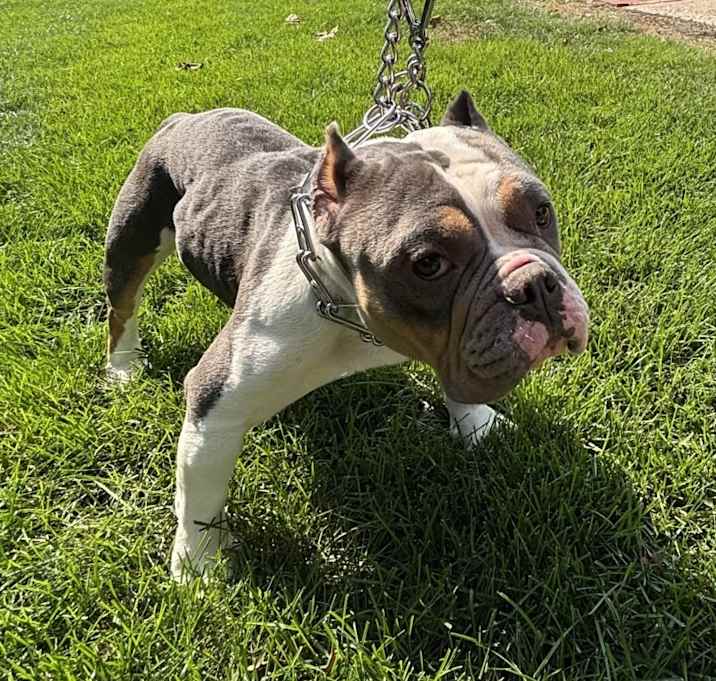 Photo of Zeus