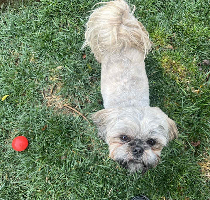 Photo of Roxy