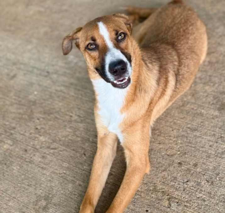 Photo of $00 Winston
