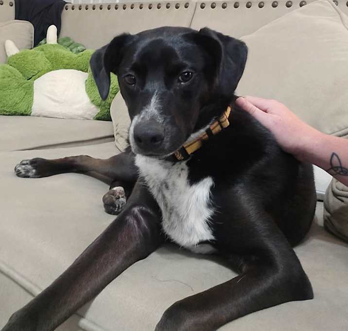 Photo of Leia