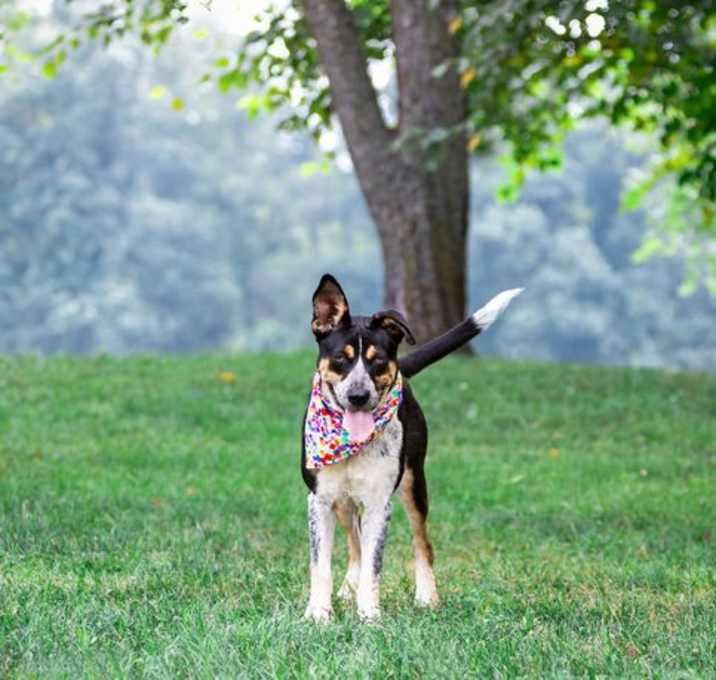Photo of Tula