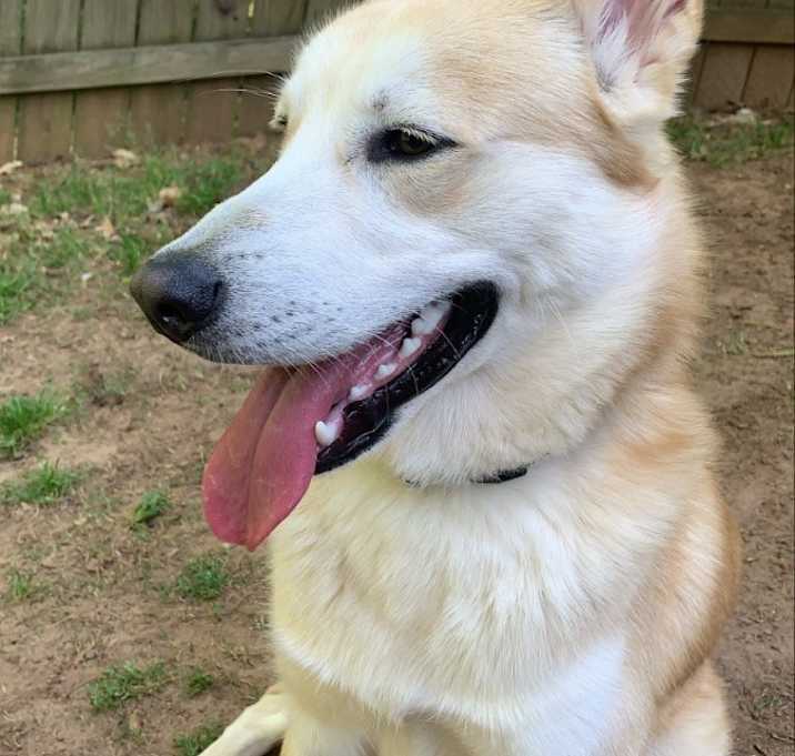 Photo of Milo