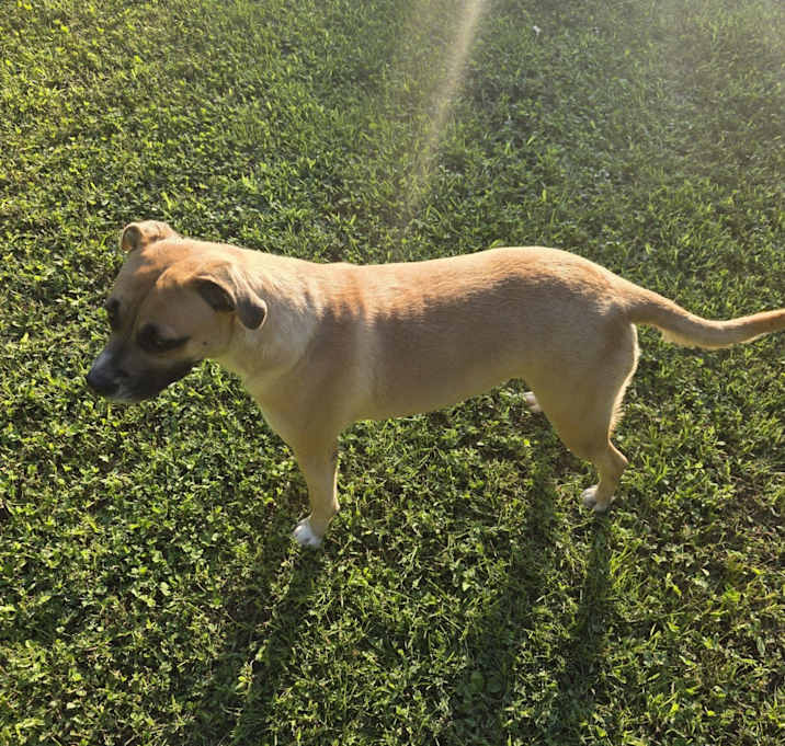 Photo of Coco