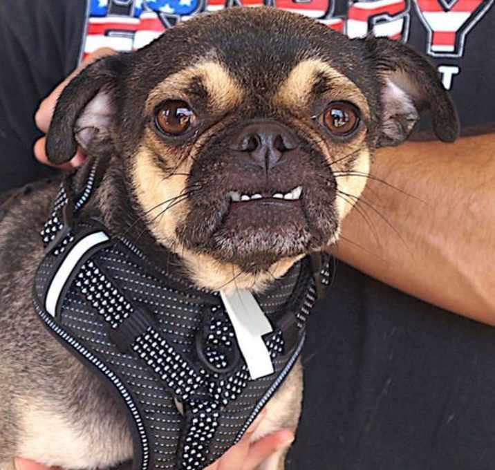 Photo of Mateo