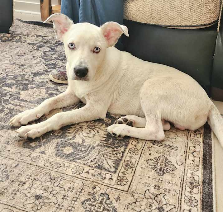 Photo of Manny