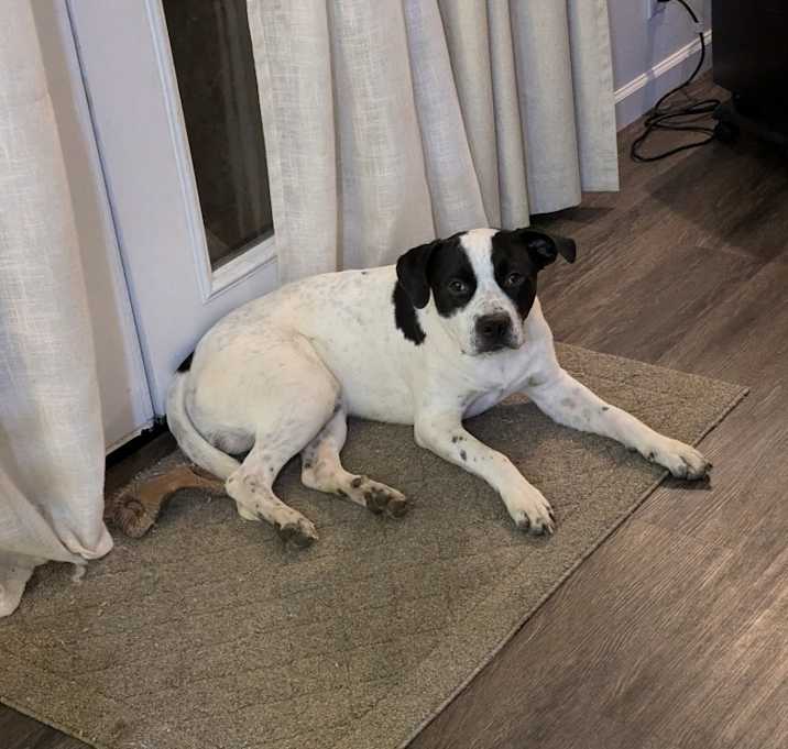 Photo of Ozzie
