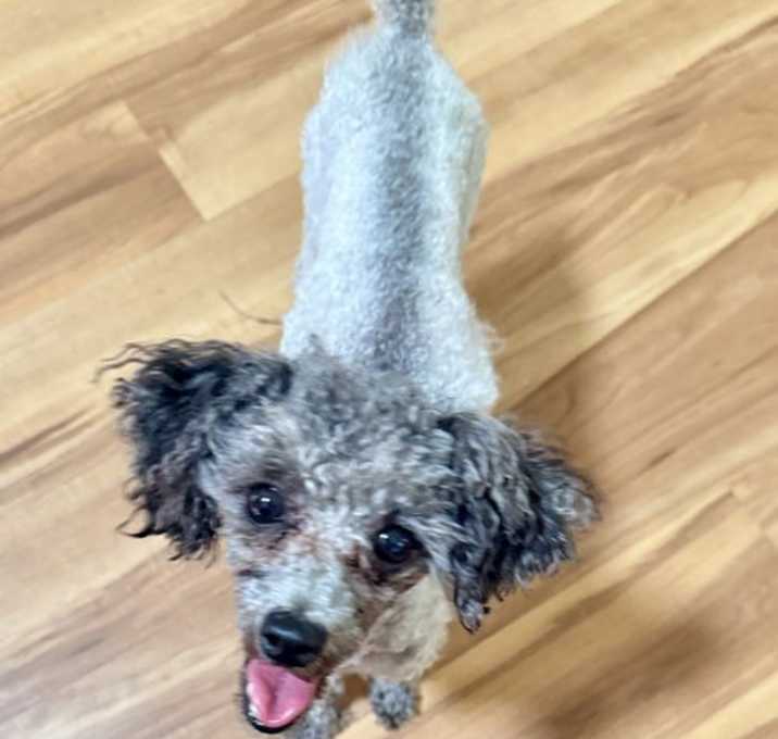 Photo of Tucker