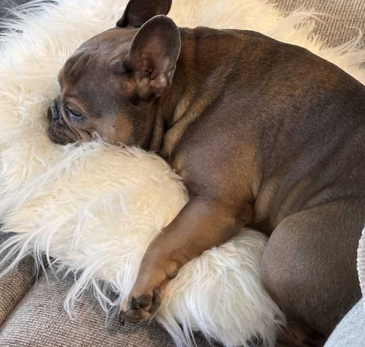 Photo of Gus