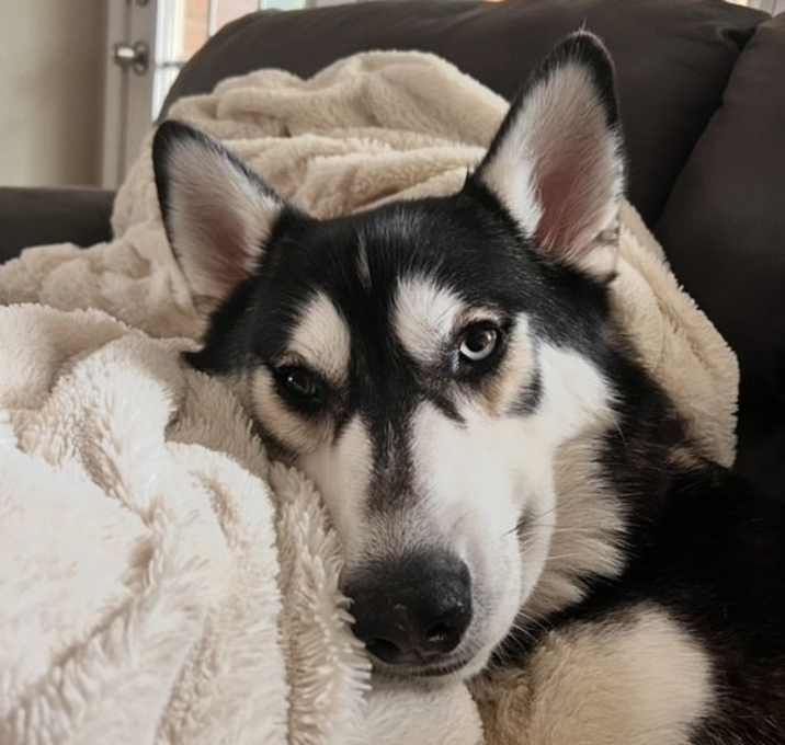 Photo of Flynn