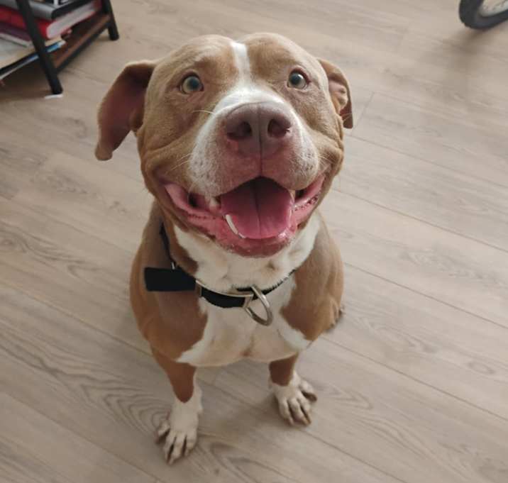 Photo of Chucho