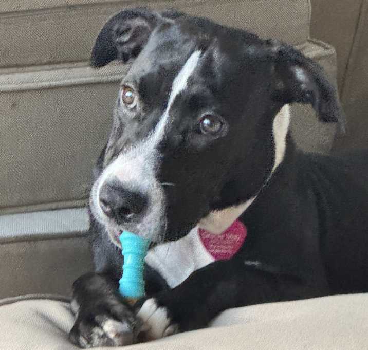 Photo of Gracie May