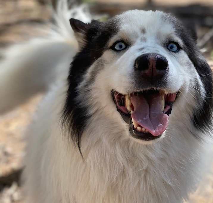 Photo of Zeus