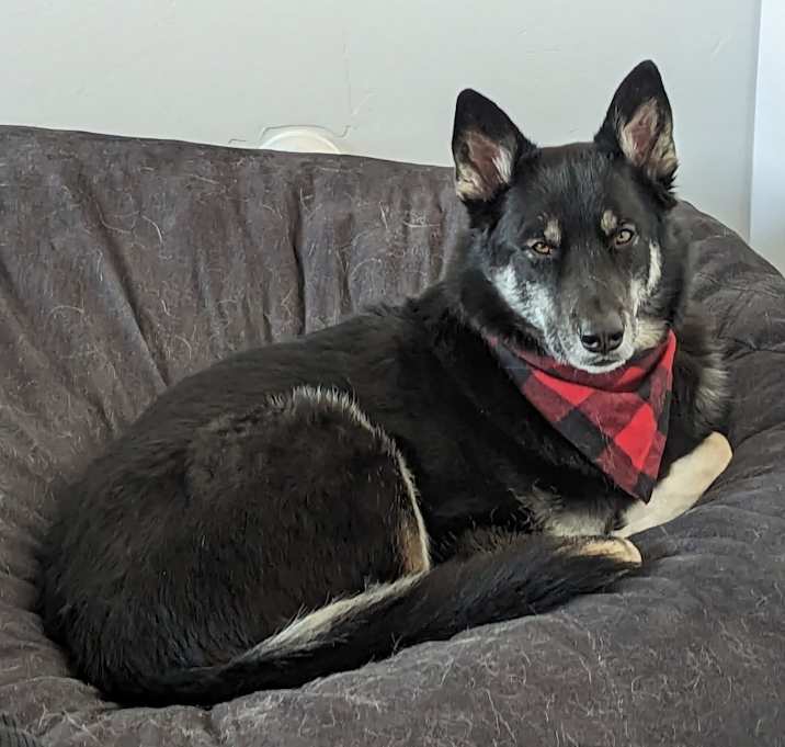 Photo of Sokka