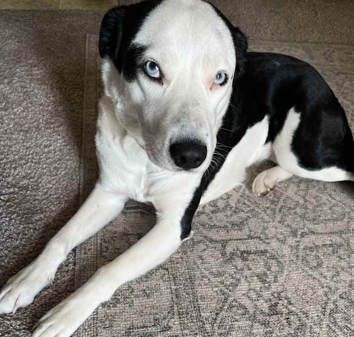 Photo of Kiki