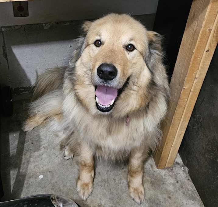 Photo of Hershey