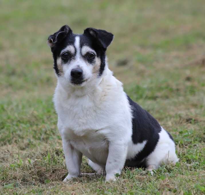 Photo of Junie