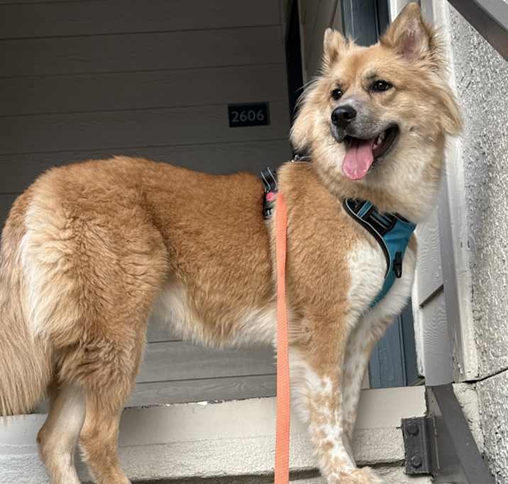 Photo of Happy