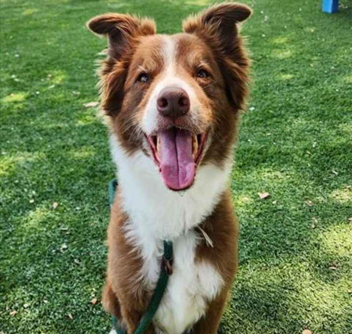 Photo of MAVERICK