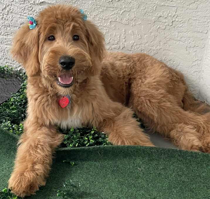 Photo of Zara