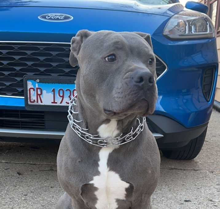 Photo of Zeus