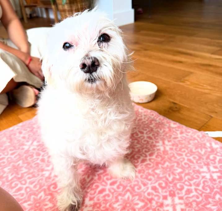 Photo of max