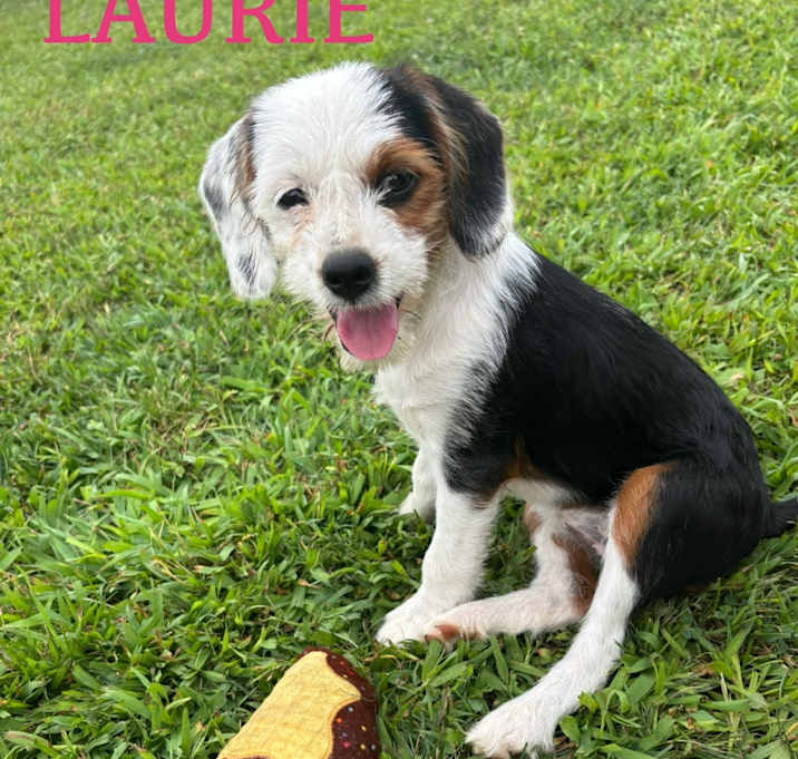 Photo of Laurie
