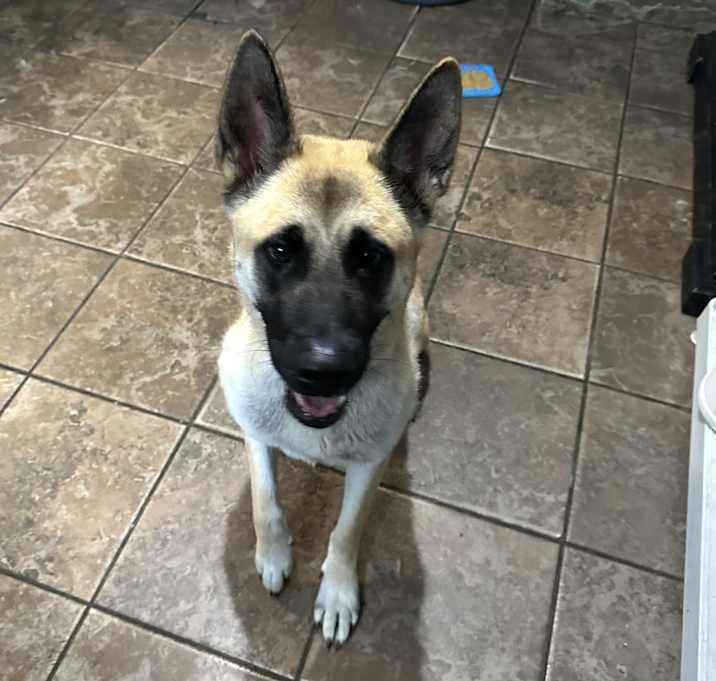Photo of Lucky