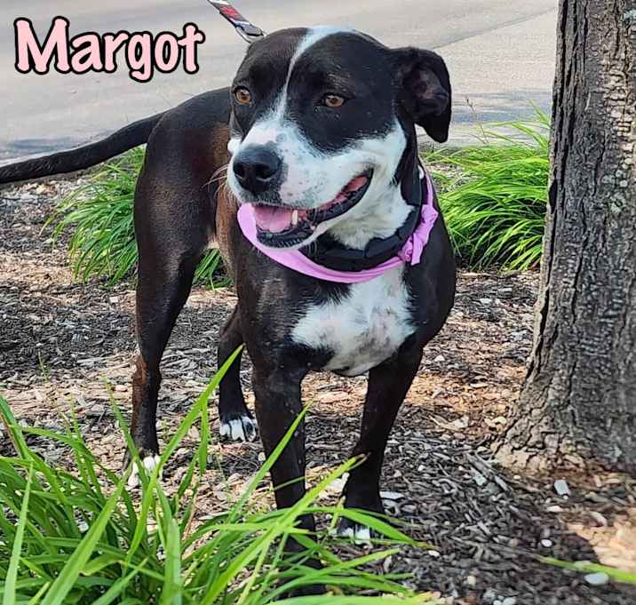 Photo of Margot
