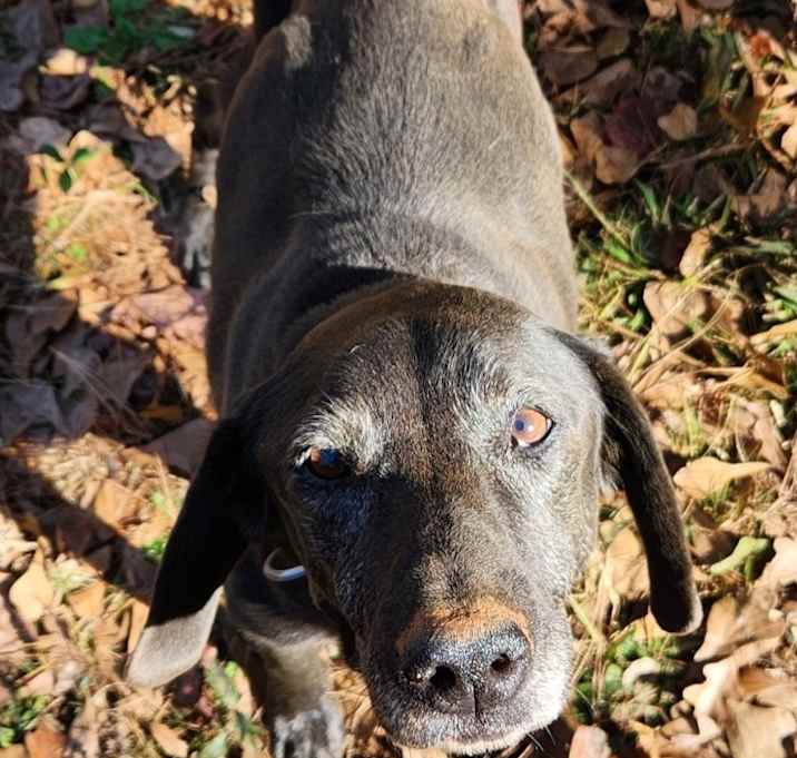 Photo of Tucker