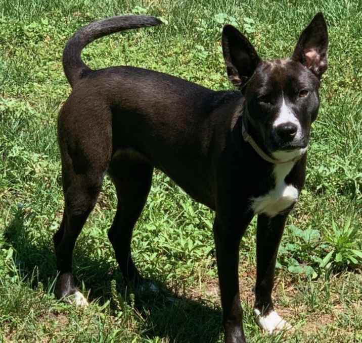 Photo of Izzy Bella