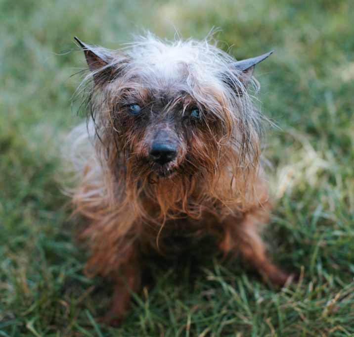 Photo of Love Bug 