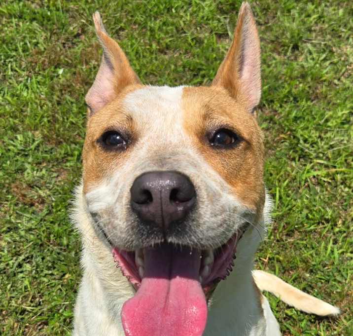 Photo of Cash