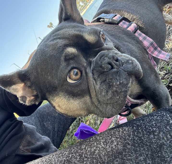 Photo of Sophia