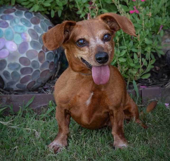 Photo of Lexi