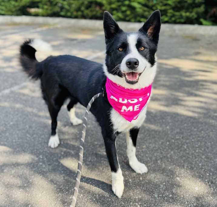 Photo of Wilma