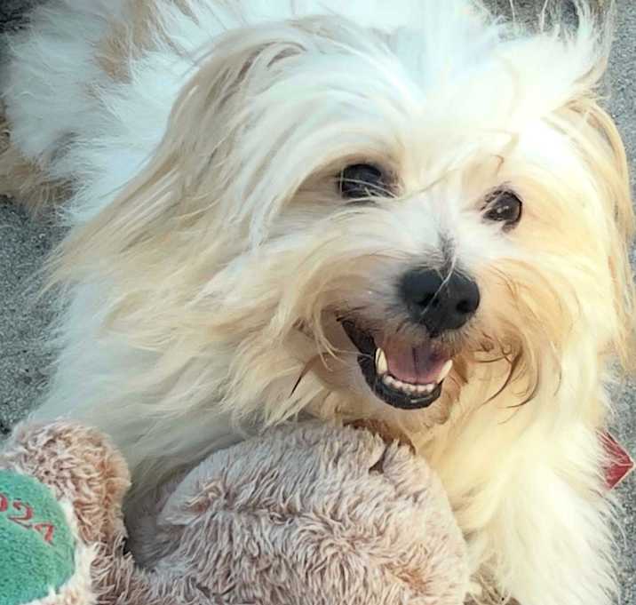 Photo of CALVIN