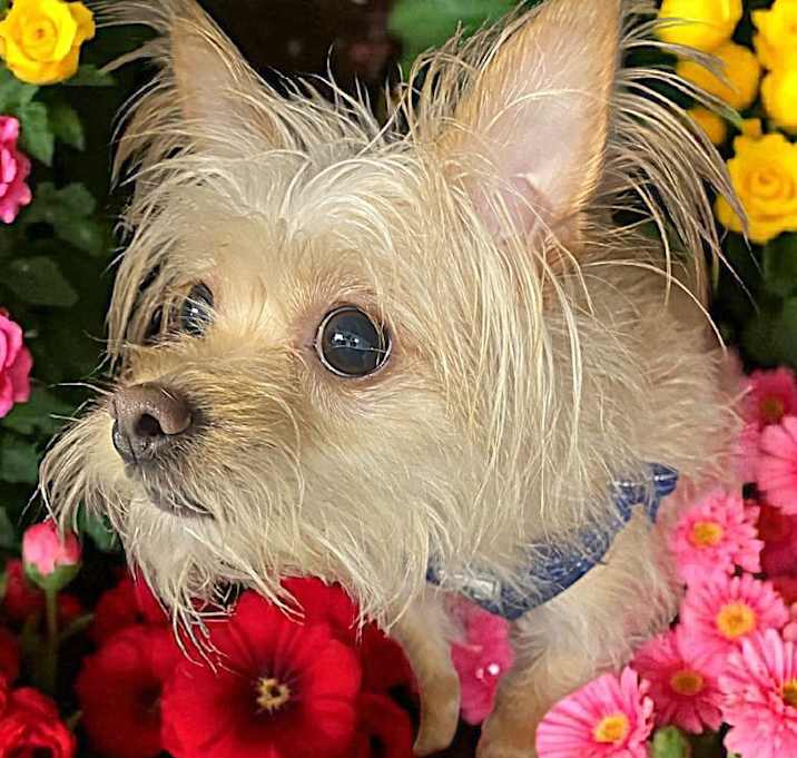 Photo of ZIGGY