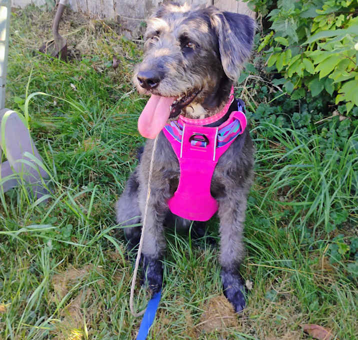 Photo of Winnie